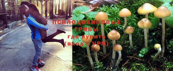 мескалин Михайловск